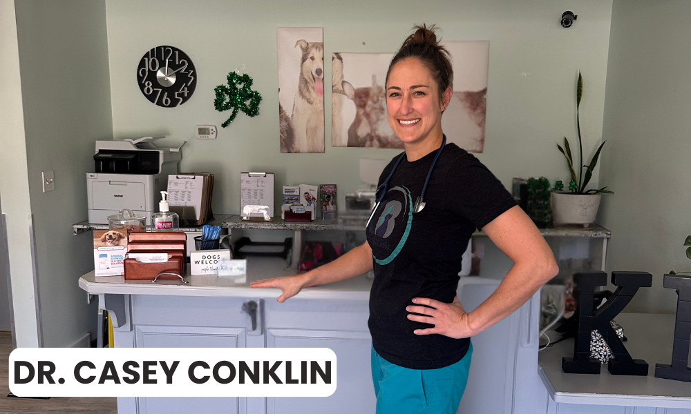 Affordable Vet Near Lee's Summit, MO