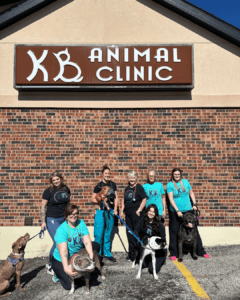 Our amazing team at KB Animal Clinic!