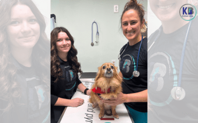 4 Necessary Vaccinations for Dogs: Protect Your Pet!