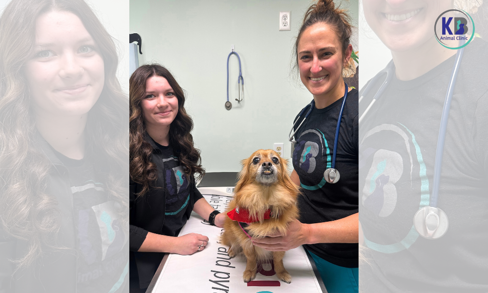 Pet Vaccinations