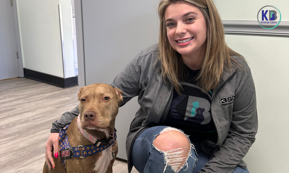 Vet Visits